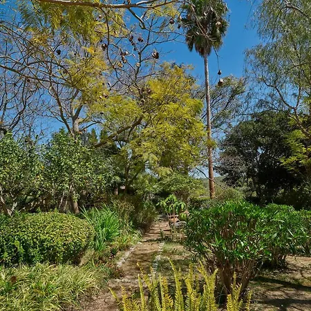 Guest house Quinta Da Colina Guest House/deluxe Double